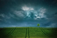 Árbol solitario bajo un cielo estrellado y nublado sobre campos verdes