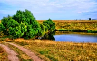 reserva natural, natureza, vegetação, ecossistema, pradaria