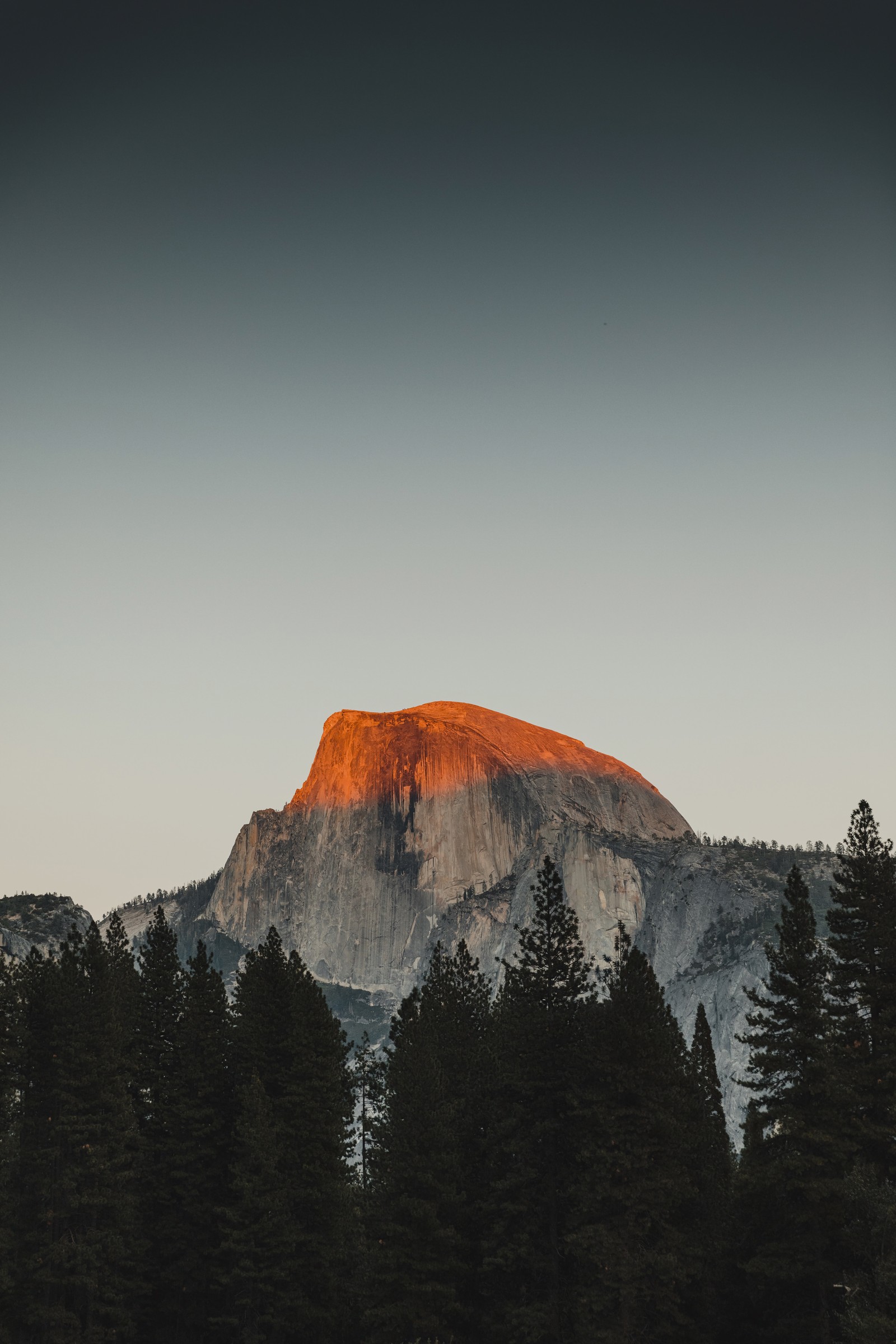 Descargar fondo de pantalla parque nacional de yosemite, montaña, árbol, crepúsculo, paisaje natural