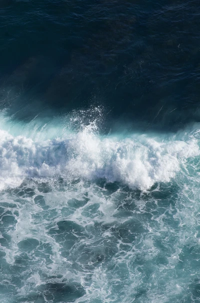 Olas oceánicas dinámicas rompiendo en la orilla