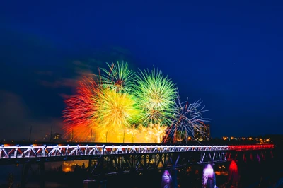 Vibrant Fireworks Over a Festive Night Sky