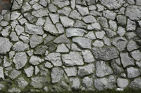 Pared de piedra texturizada con guijarros y acentos de hierba