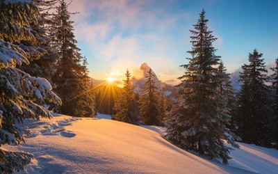 nieve, invierno, alpes, naturaleza, árbol