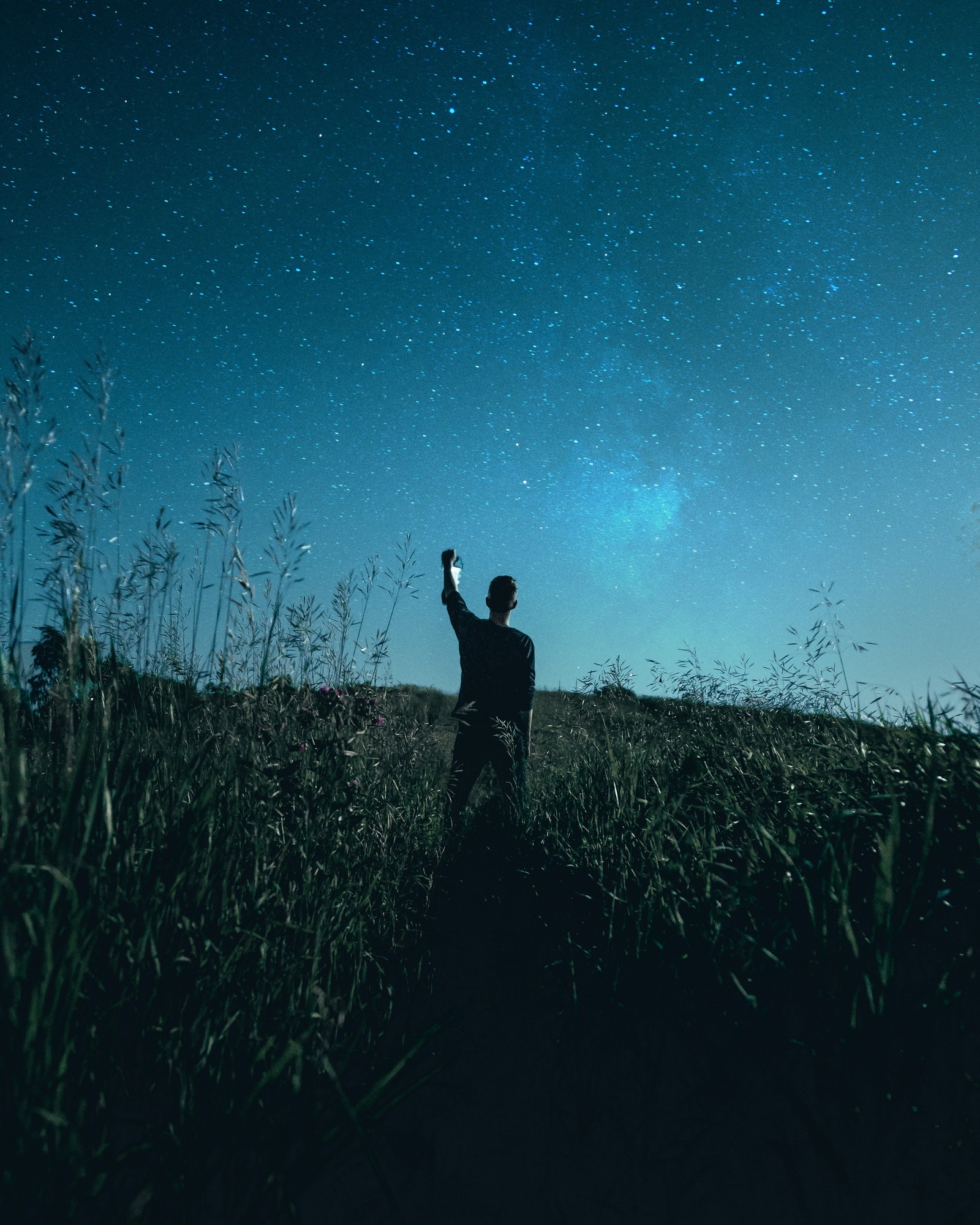 Il y a un homme debout dans un champ tenant un cerf-volant (personnes dans la nature, bleu, obscurité, nuit, herbe)