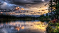 Reflexões tranquilas da noite sobre um lago selvagem