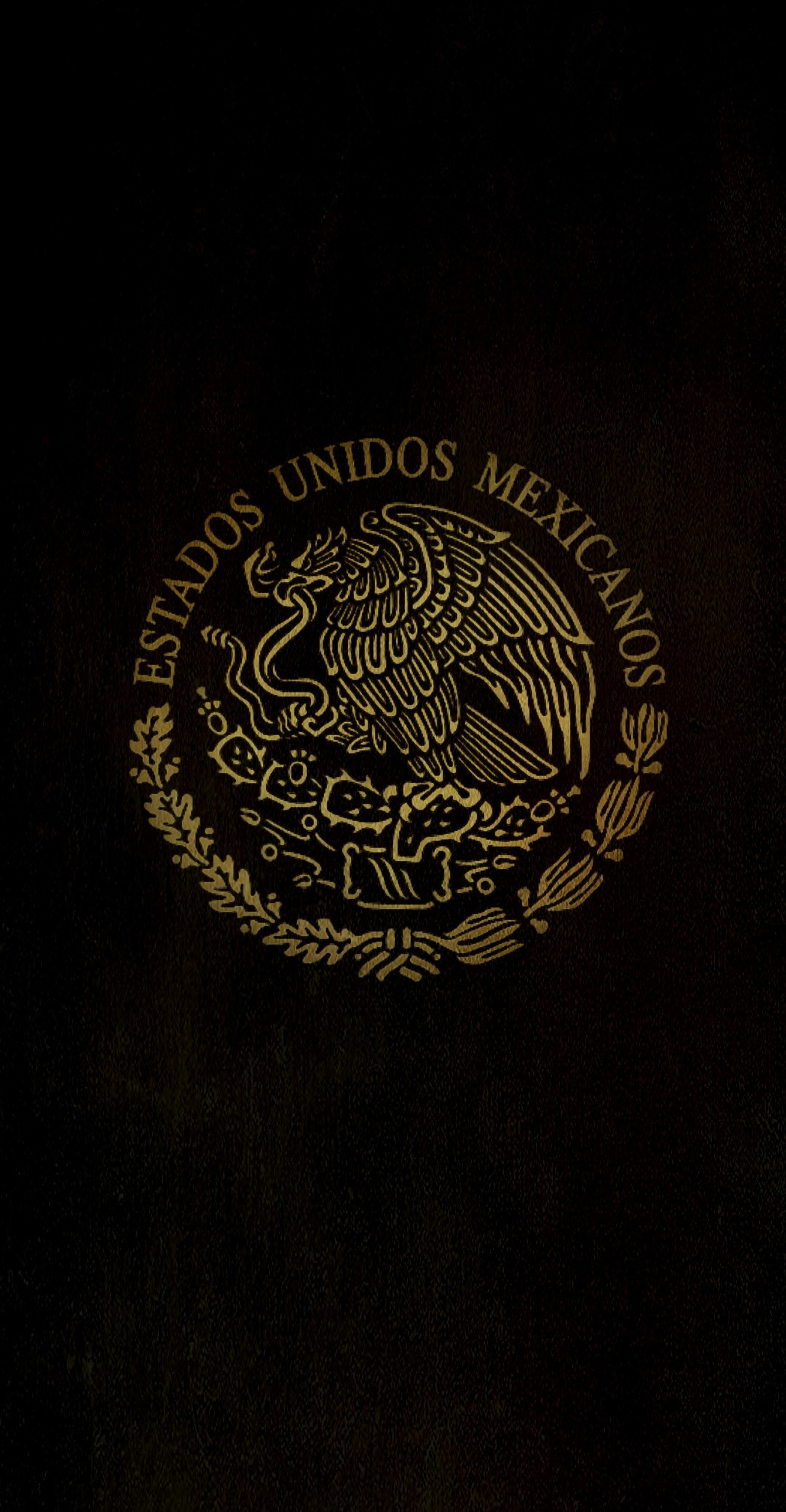 Imagen afeitada de un libro negro con un sello dorado (méxico, escudo, mexicano, radyz, política)