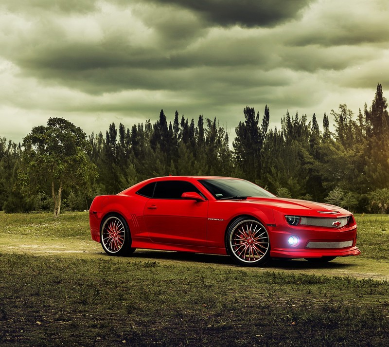 Близкий план красного спортивного автомобиля, припаркованного на поле (camaro, шевроле камаро, chevrolet camaro, z28)