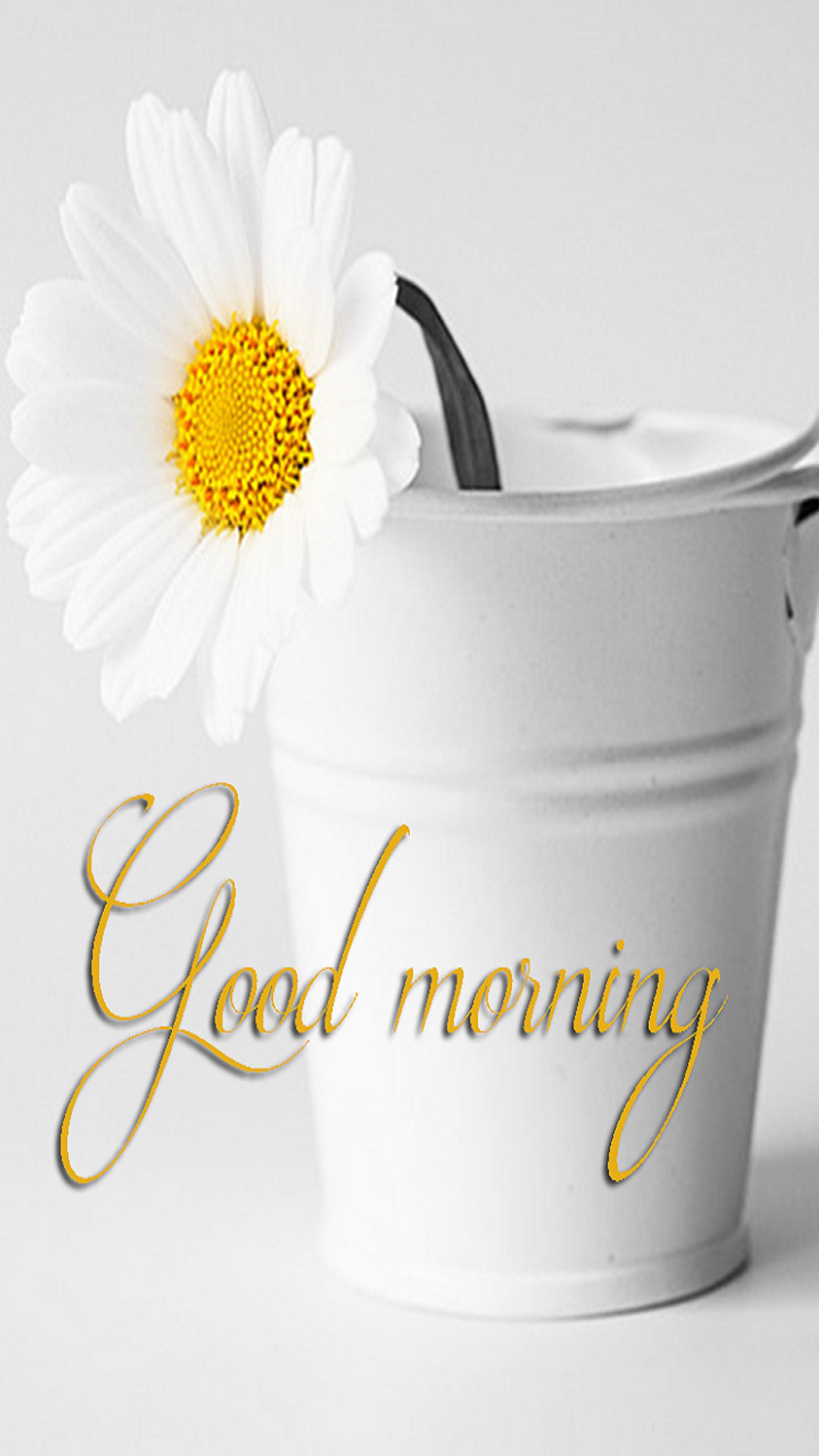 good morning, flower wallpaper