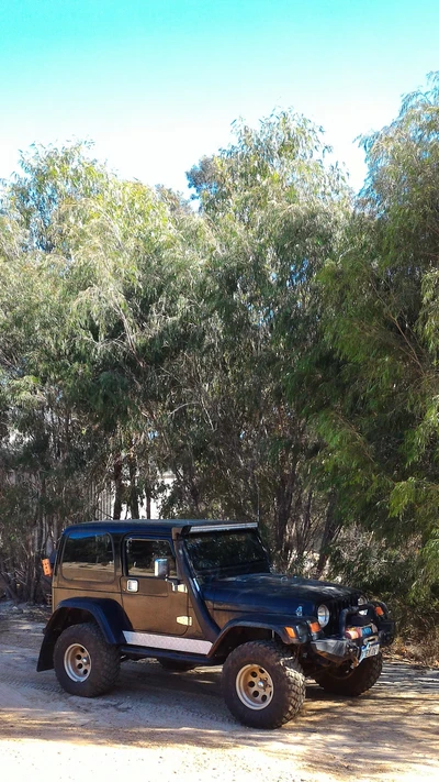 tração nas quatro rodas, 4x4, jeep, tj, wrangler