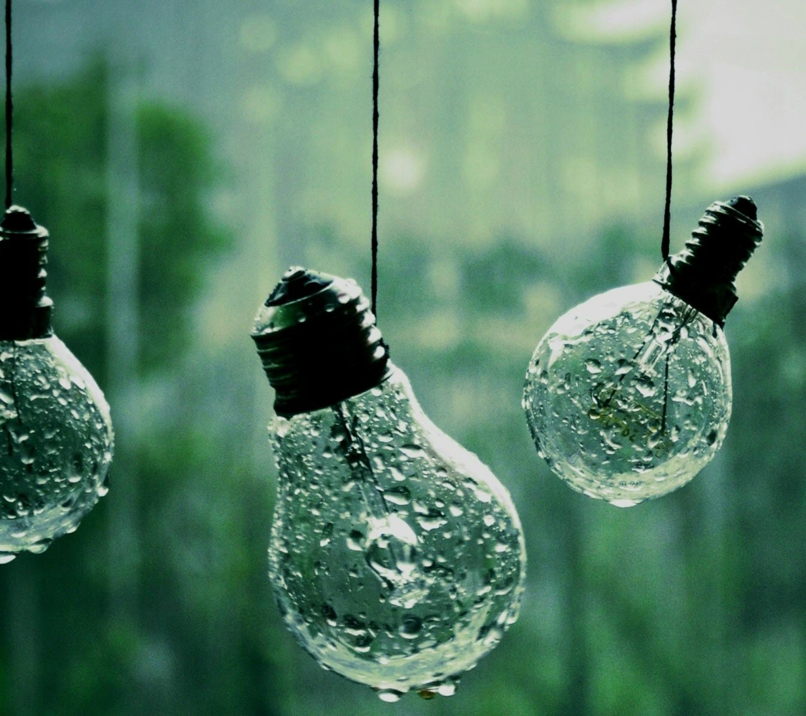 There are three light bulbs hanging from a window with a forest in the background (lampas, wallpapers)