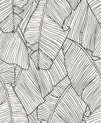 Motif de feuilles monochrome : design abstrait en noir et blanc