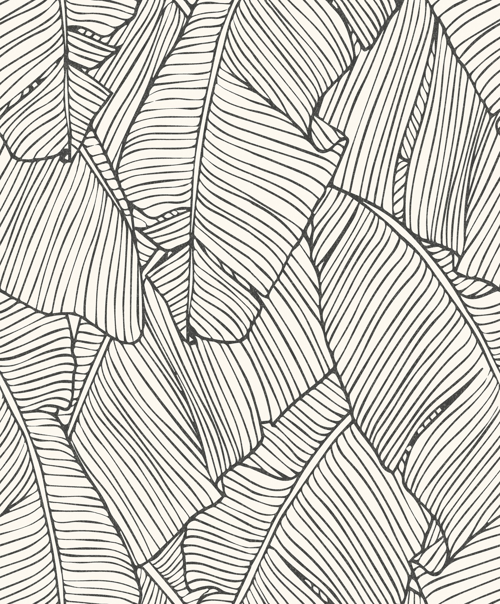 A black and white drawing of a bunch of leaves (leaf, line, pattern, monochrome, design)