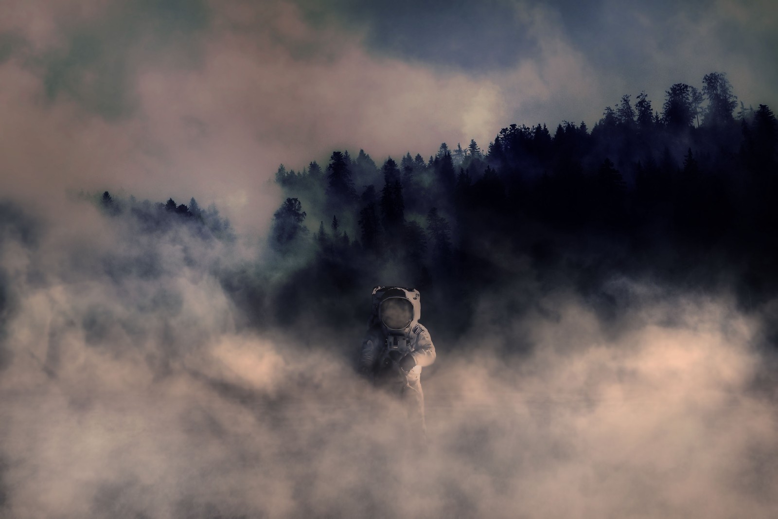 There is a horse that is standing in the fog by the trees (nature, tree, outer space, atmosphere, space)