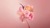 Abstract Floral Elegance in Pastel Red Tones