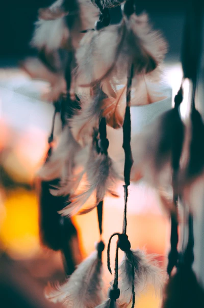 Plumas delicadas suspendidas en cuerdas, iluminadas suavemente contra un fondo vibrante.