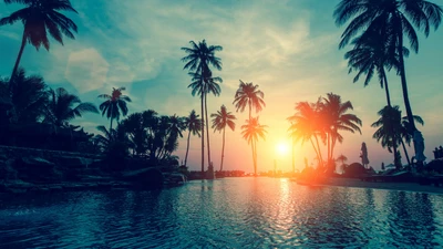 Reflejos de un atardecer tropical con palmeras junto al mar