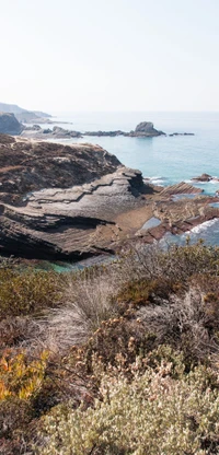 Paysage de falaises côtières avec des affleurements rocheux et une végétation diversifiée