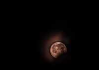 Lune de récolte illuminant le ciel nocturne