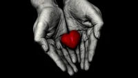 Red Heart Held in Loving Hands on a Black Background