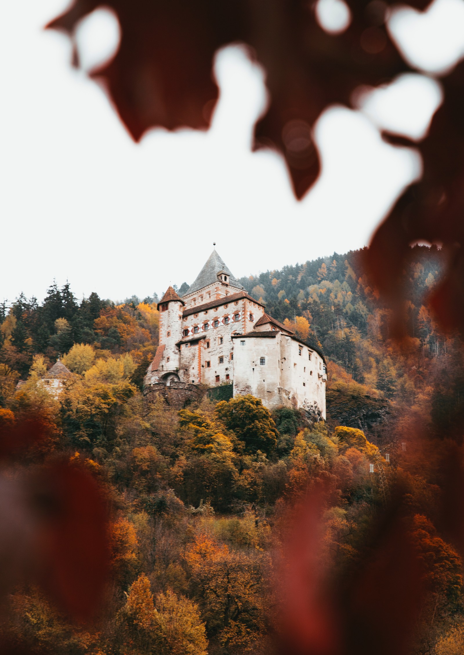 Eine ansicht einer burg auf einem hügel mit bäumen im hintergrund (architektur, blatt, burg, herbst, baum)