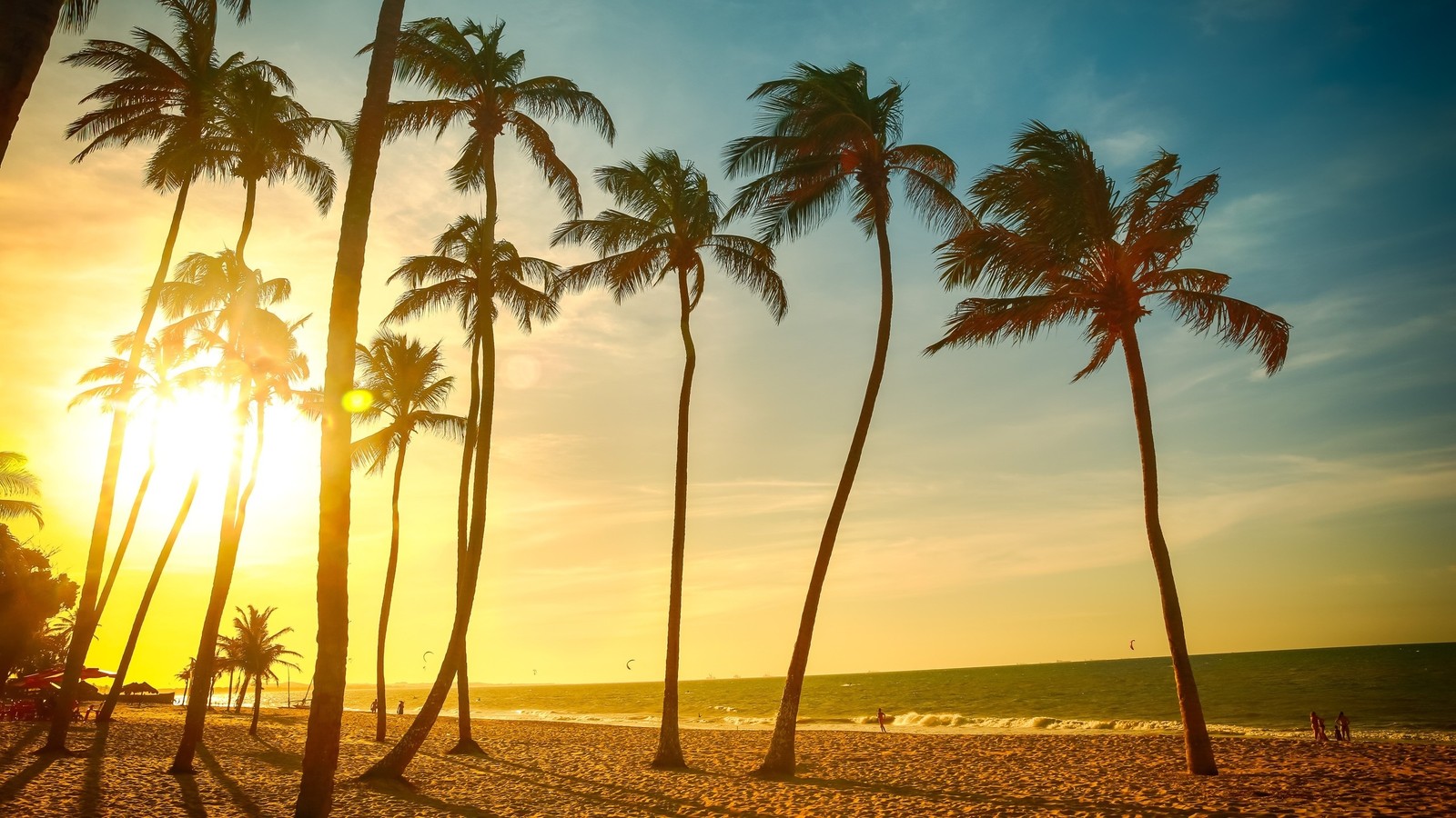 Arafed palm trees line the beach at sunset with a bright sky (beach, palm trees, sea, tree, palm tree)