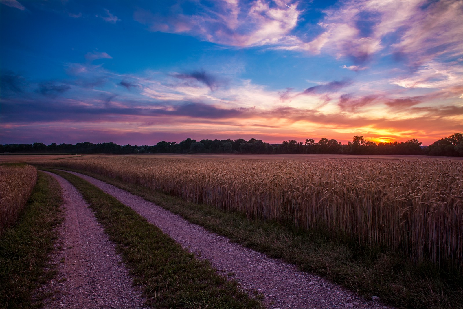 morning, sunset, landscape painting, field, horizon Download Wallpaper