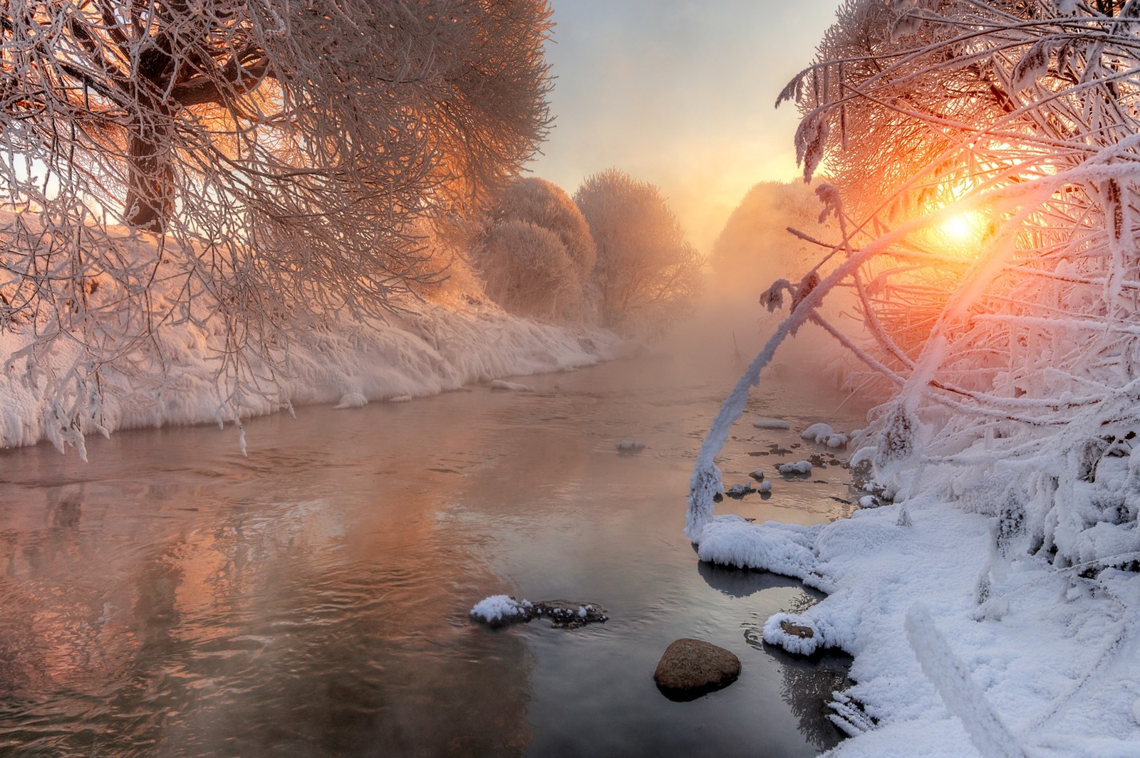 Ein schneebedeckter fluss mit einem baumzweig im vordergrund und der untergehenden sonne (frost, schnee, winter, gefrieren, morgen)