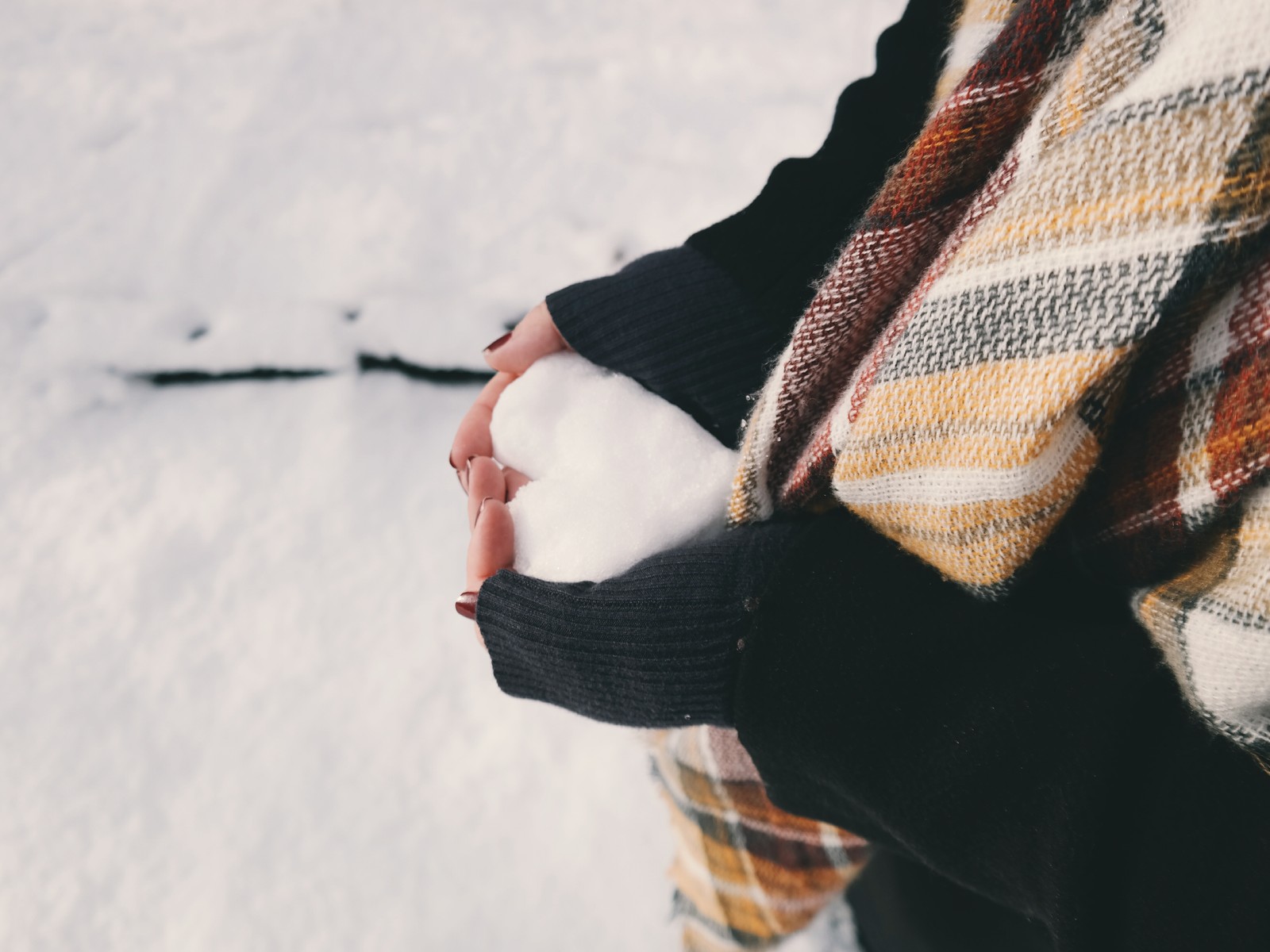 Quelqu'un tenant une boule de neige dans ses mains dans la neige (hiver, neige, blanc, beauté, main)