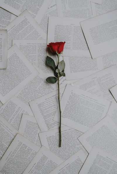 pages, rose