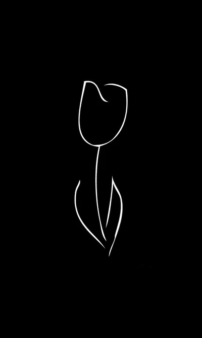 Minimalistic Black and White Tulip Outline