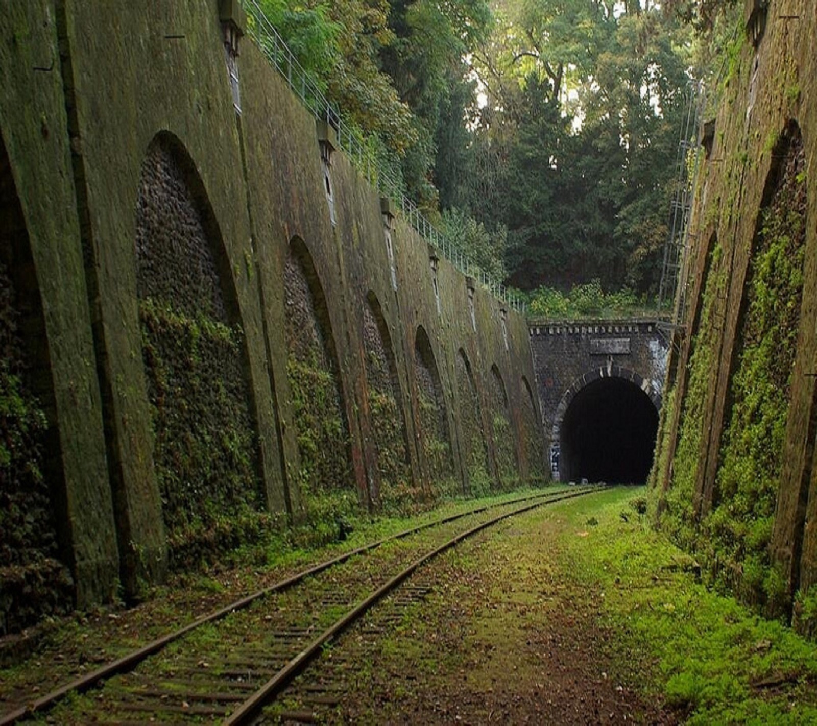 Ein zug fährt durch einen tunnel im wald (landschaft, alt, zug)