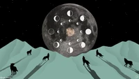 Loups hurlant aux phases de la lune