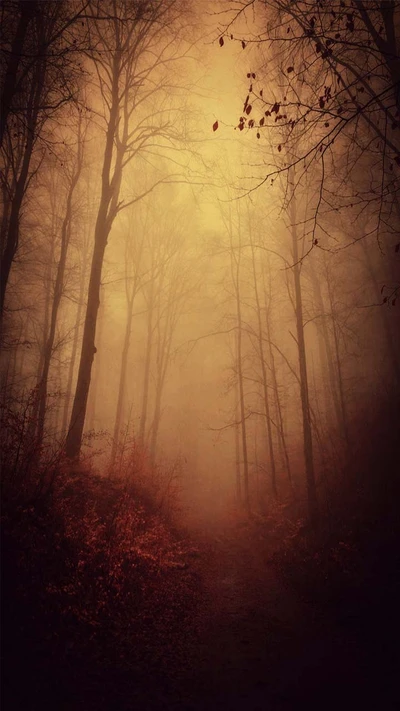 oscuro, bosque, horror