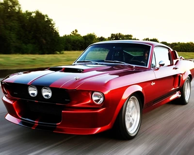 carro, para, mustang