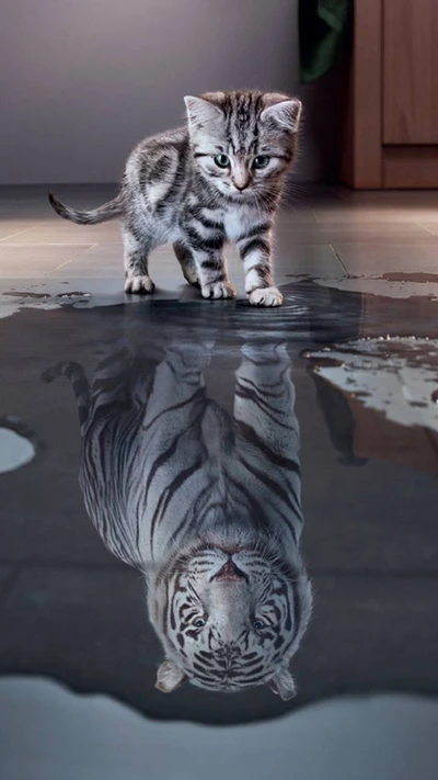 Reflejo de un tigre: Un gatito en una cueva