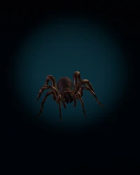 Abstract 3D Spider with a Dark, Colorful Background