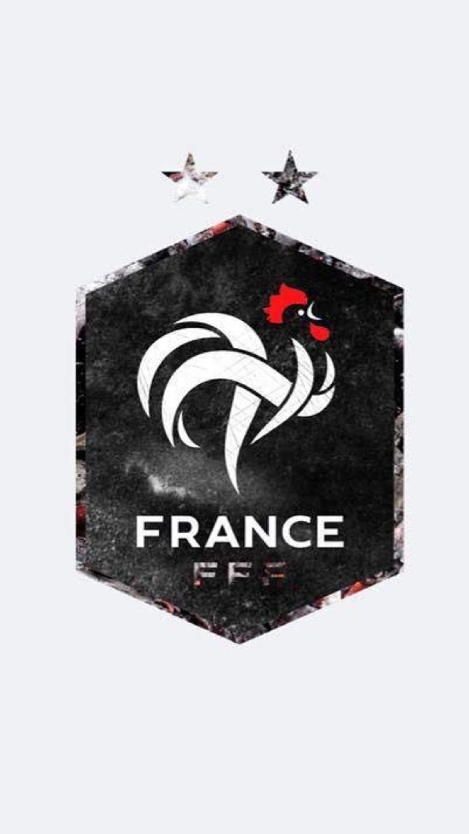 Una foto en blanco y negro de un gallo con una estrella roja (diseño, fff, fútbol, francia, icono)