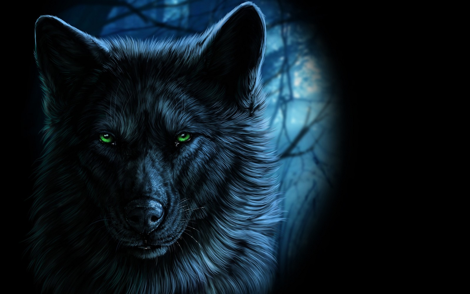 A close up of a wolf with green eyes in the dark (abej, beograd, green, wolf)