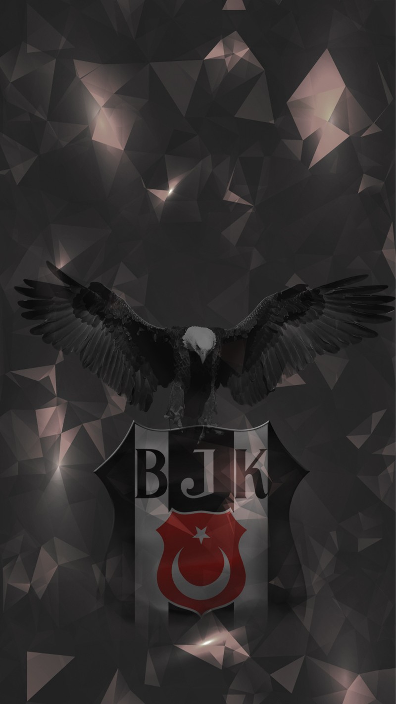 Близкий план птицы, летящей над щитом с флагом (бешикташ, besiktas, футбол, futbol, картал)