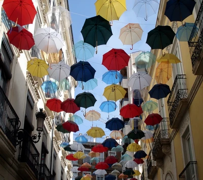 parapluies, vue