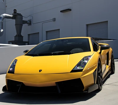 Lamborghini Gallardo amarelo com design elegante e postura agressiva.