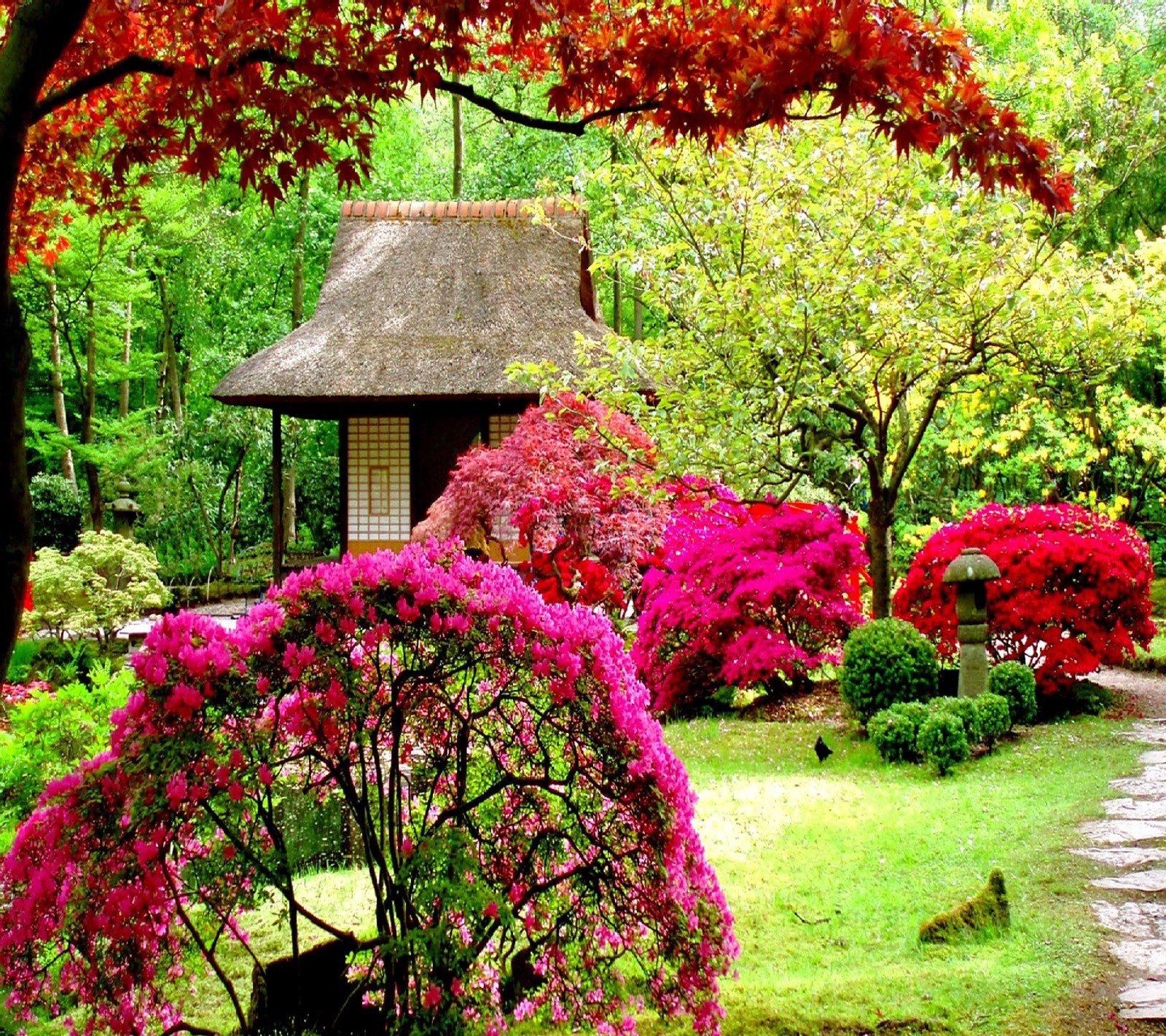 Arafed house in a garden with a pathway and a pathway leading to it (nature)