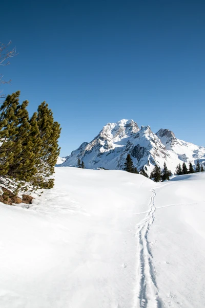 Cordilheira coberta de neve com um maciço proeminente, árvores de abeto ao longo do caminho, sob um céu azul claro.