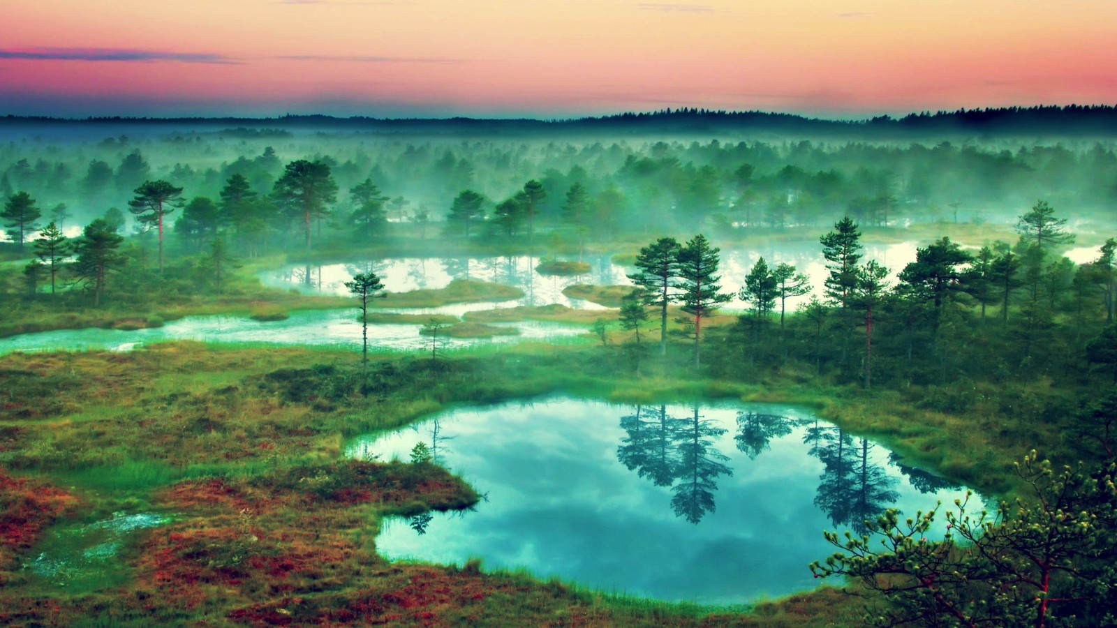 Blick auf einen teich, umgeben von bäumen und nebel auf einem feld (natur, wasserressourcen, wasser, morgen, reflexion)