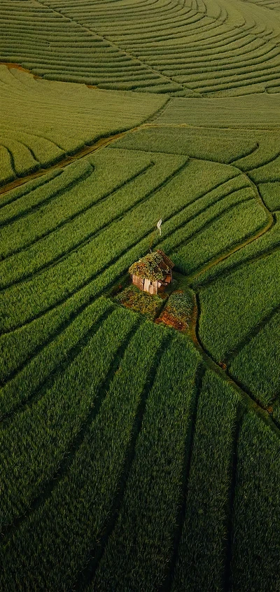 menschen in der natur, reise, landwirtschaft, bodenpflanze, gras