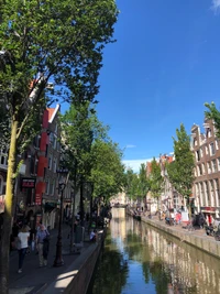 amsterdam, canal, water, tourism, science wallpaper