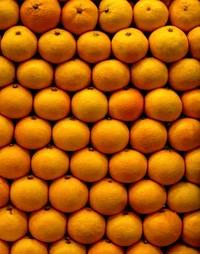 Vibrant Display of Fresh Mandarin Oranges