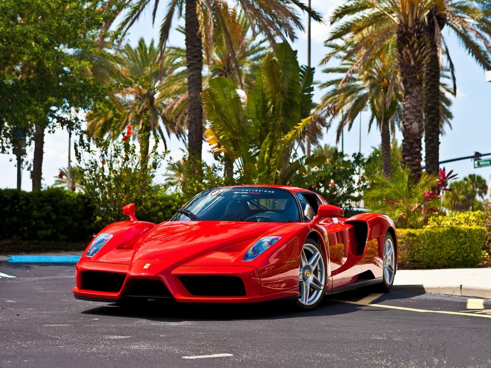 Arafed red sports car parked in a parking lot with palm trees (enzo ferrari, sports car, ferrari f50, supercar, race car)