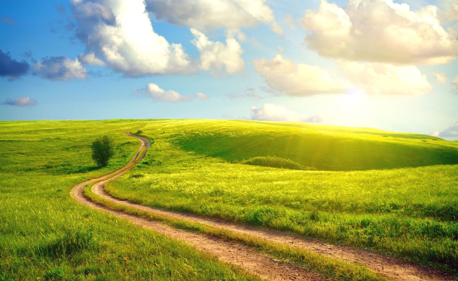 Ein schotterweg führt durch ein grünes feld mit einem hellen himmel (grasland, natur, feld, straße, prärie)