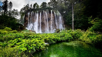 Plitvice Lakes National Park Waterfall Surrounded by Lush Vegetation